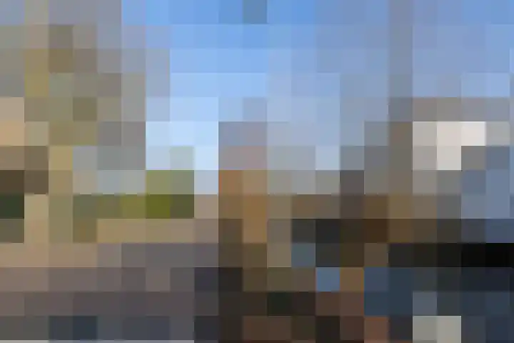 A.N.van Pellecomhof 10 Kortenhoef thumbnail 29