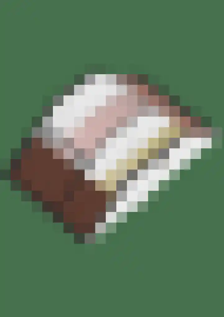 A.N.van Pellecomhof 10 Kortenhoef thumbnail 38