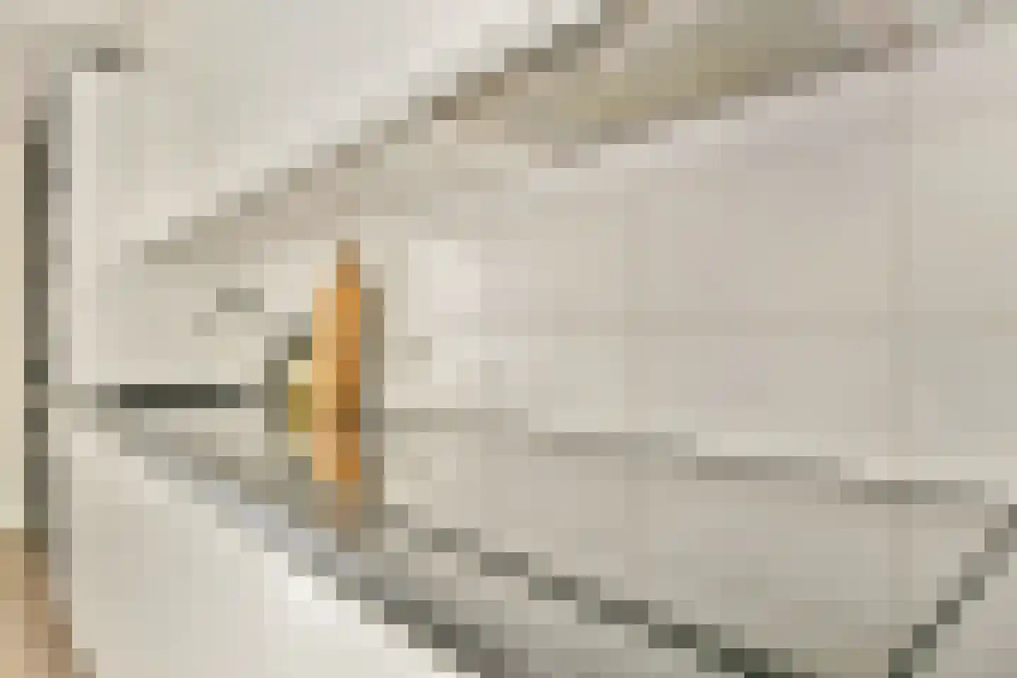 A.N.van Pellecomhof 13 Kortenhoef thumbnail 11