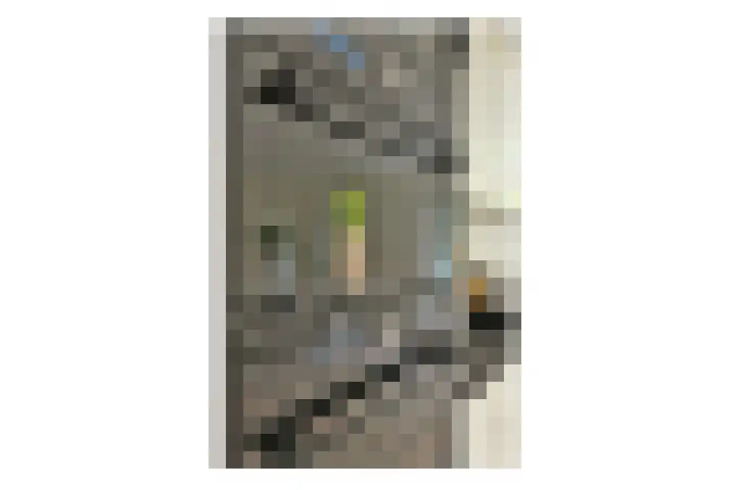 A.N.van Pellecomhof 13 Kortenhoef thumbnail 12