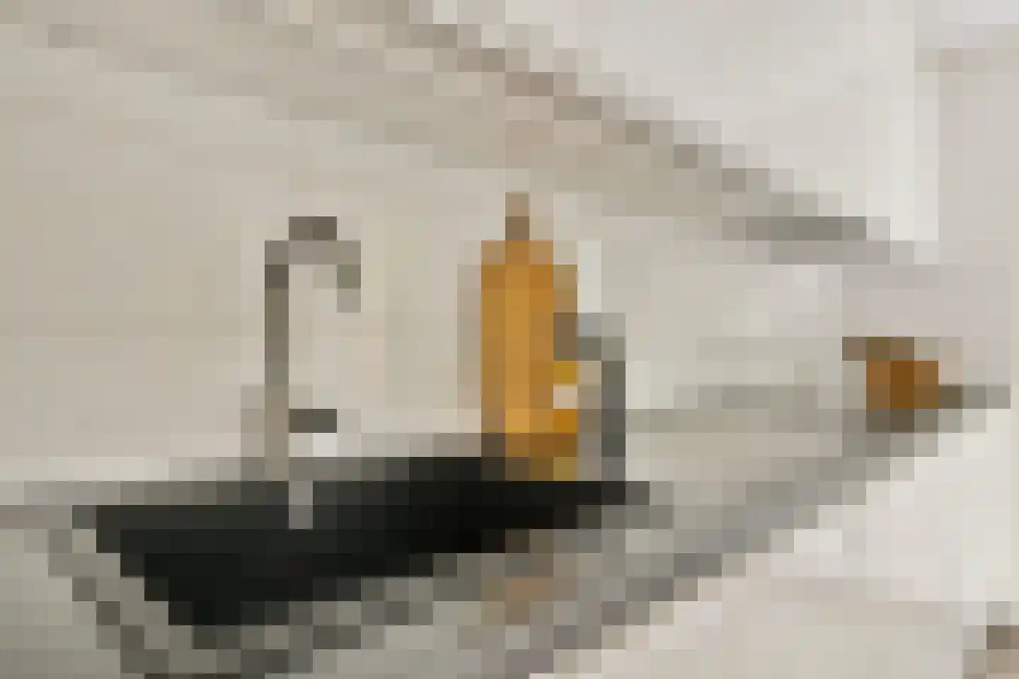A.N.van Pellecomhof 13 Kortenhoef thumbnail 13