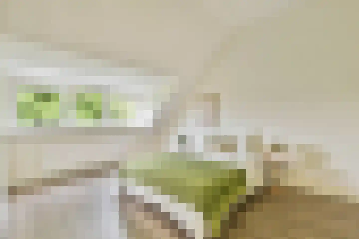 A.N.van Pellecomhof 13 Kortenhoef thumbnail 18