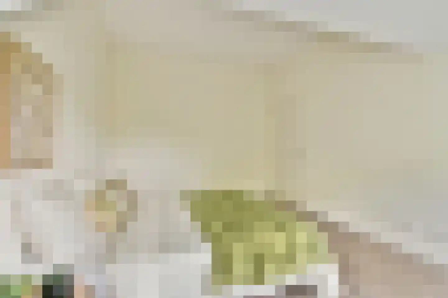 A.N.van Pellecomhof 13 Kortenhoef thumbnail 20