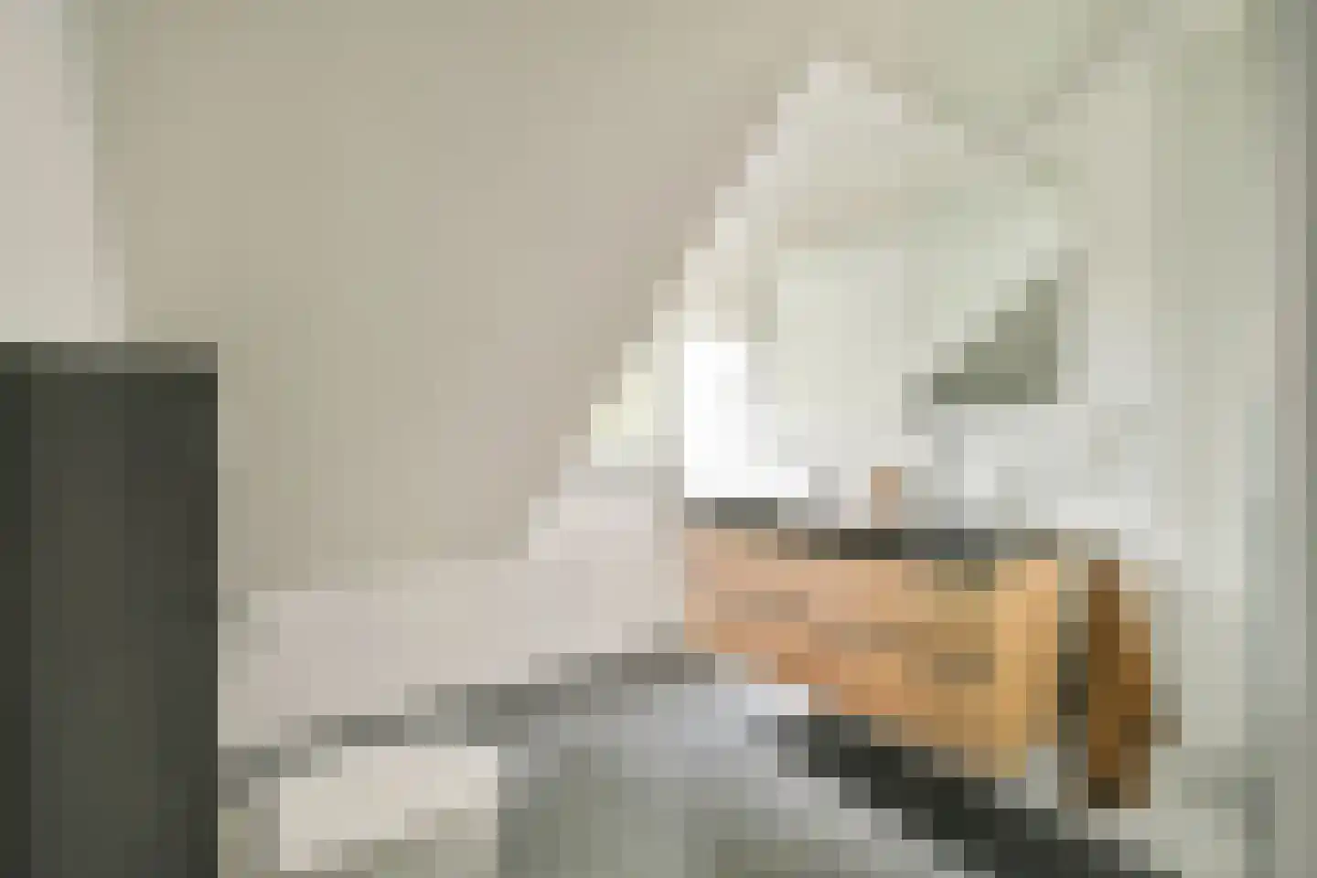 A.N.van Pellecomhof 13 Kortenhoef thumbnail 23