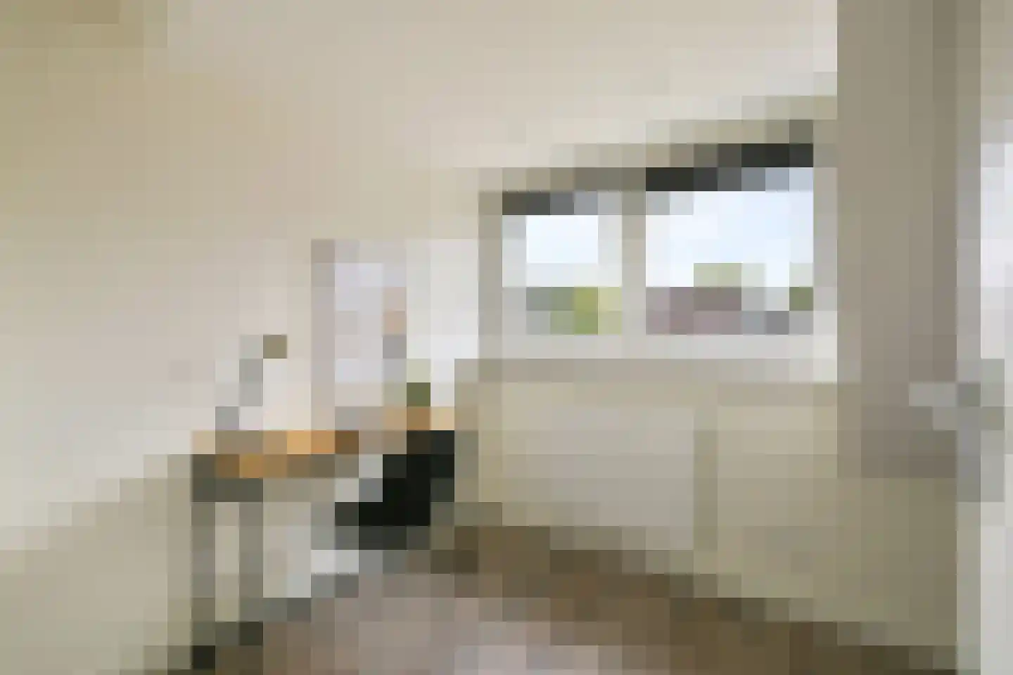 A.N.van Pellecomhof 13 Kortenhoef thumbnail 28
