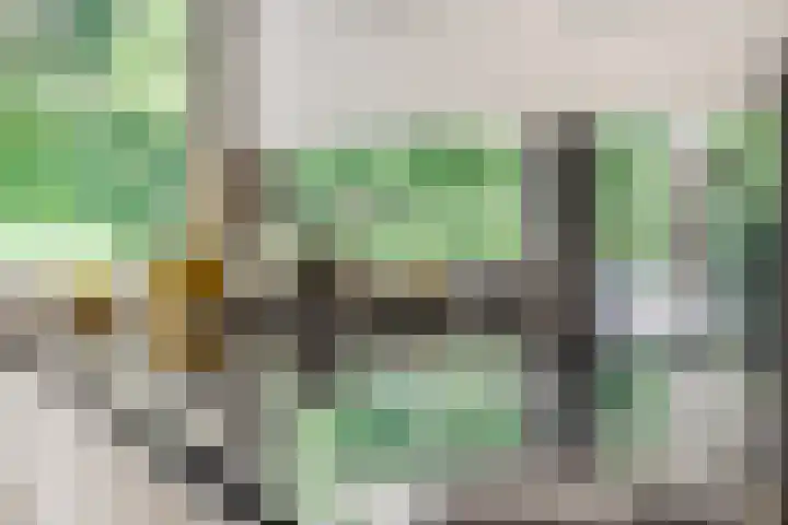 A. Nieboerplein 7 Zetten thumbnail 14