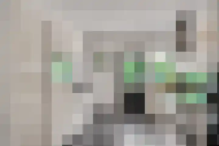 A. Nieboerplein 7 Zetten thumbnail 16