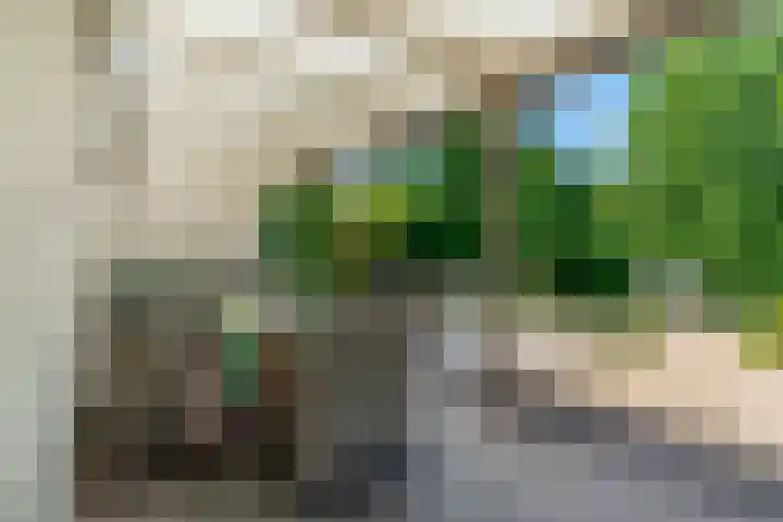 A. Nieboerplein 7 Zetten thumbnail 30