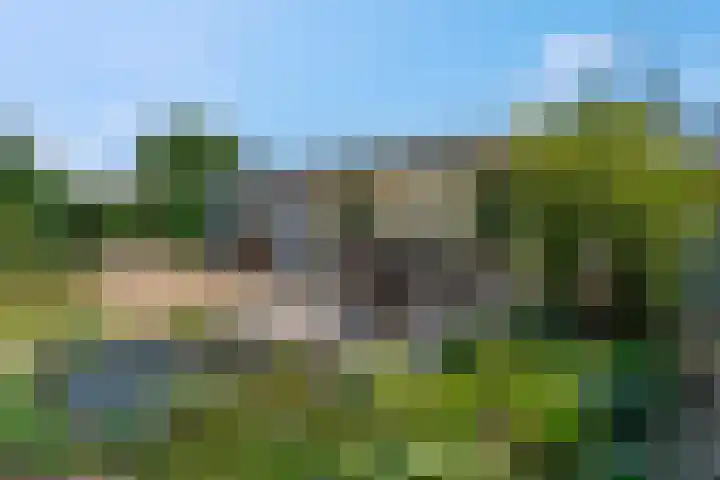 A. Nieboerplein 7 Zetten thumbnail 32
