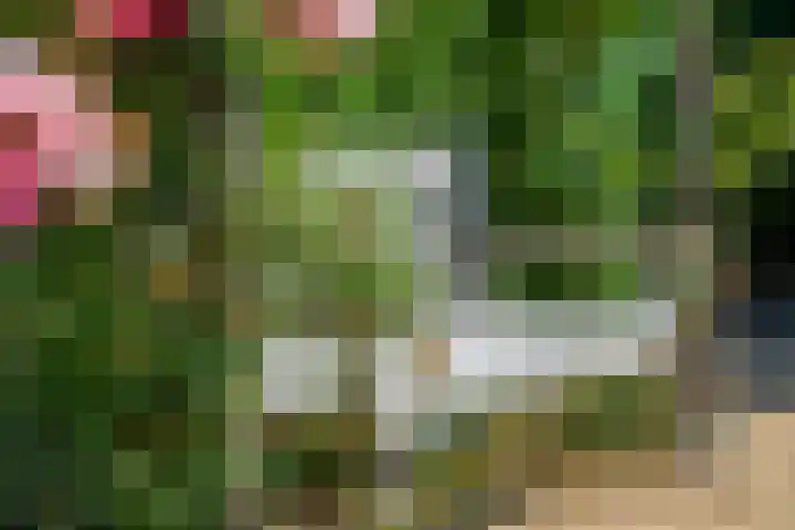 A. Nieboerplein 7 Zetten thumbnail 34
