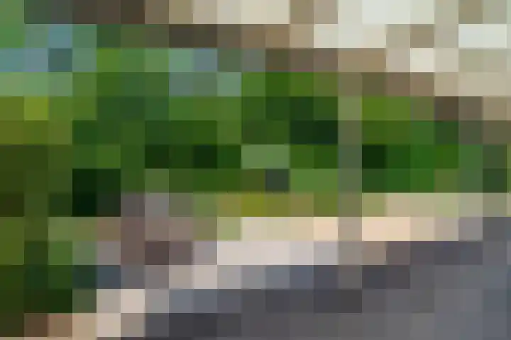 A. Nieboerplein 7 Zetten thumbnail 35