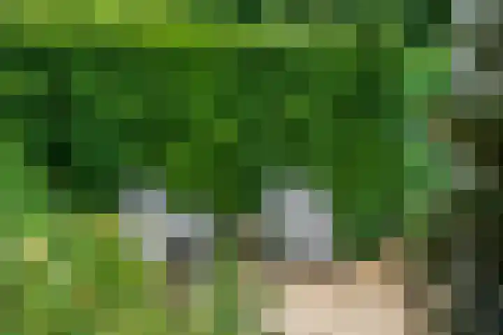 A. Nieboerplein 7 Zetten thumbnail 36