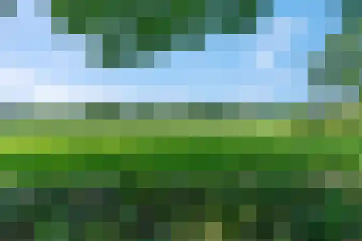 A. Nieboerplein 7 Zetten thumbnail 39
