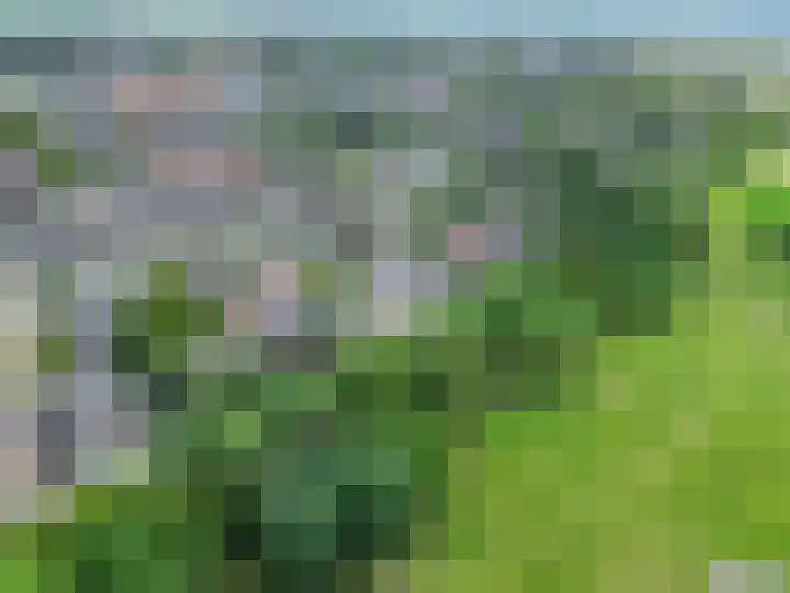 A. Nieboerplein 7 Zetten thumbnail 4