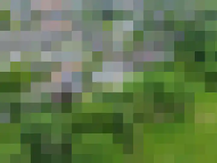A. Nieboerplein 7 Zetten thumbnail 40