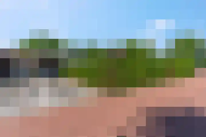 A. Nieboerplein 7 Zetten thumbnail 6