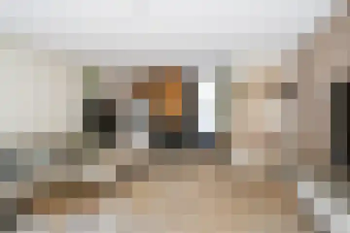 A. Noordewier-Reddingiuslaan 139 Rotterdam thumbnail 12
