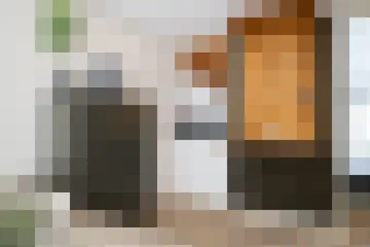 A. Noordewier-Reddingiuslaan 139 Rotterdam thumbnail 13