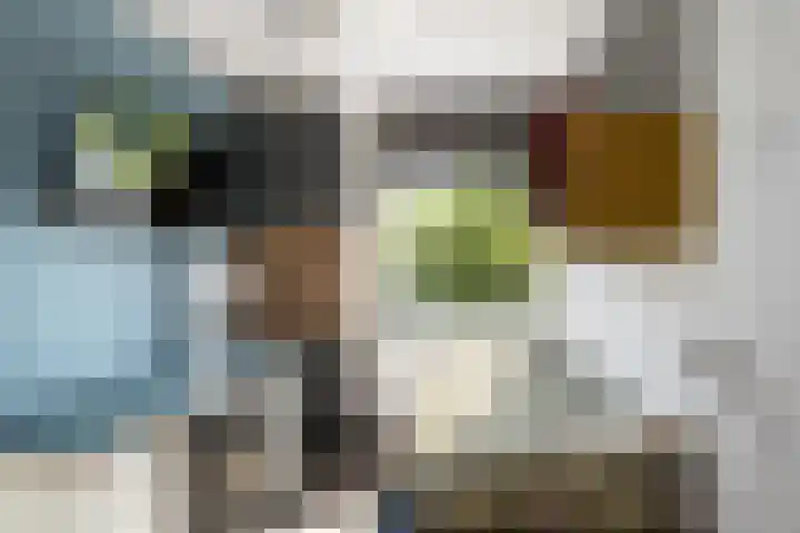 A. Noordewier-Reddingiuslaan 139 Rotterdam thumbnail 18