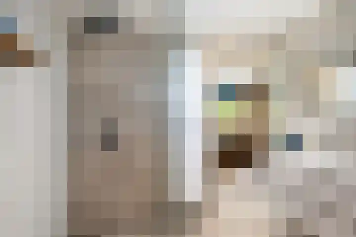 A. Noordewier-Reddingiuslaan 139 Rotterdam thumbnail 20