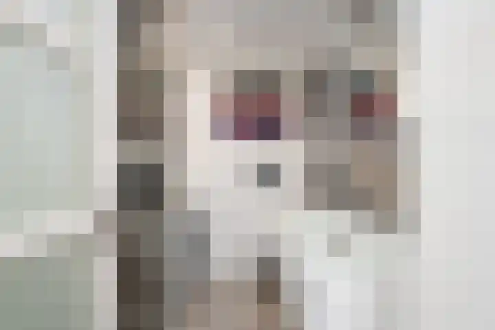 A. Noordewier-Reddingiuslaan 139 Rotterdam thumbnail 21