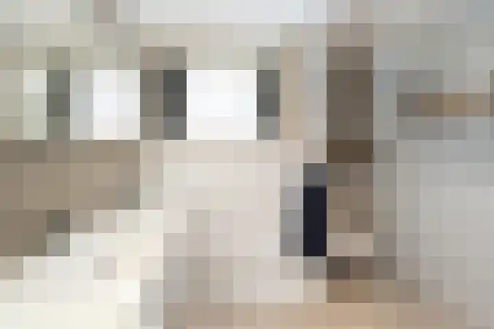 A. Noordewier-Reddingiuslaan 139 Rotterdam thumbnail 22