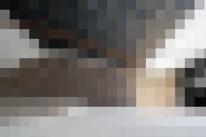 A. Noordewier-Reddingiuslaan 139 Rotterdam thumbnail 25