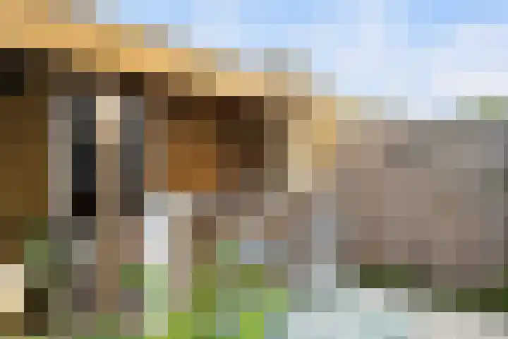 A. Noordewier-Reddingiuslaan 139 Rotterdam thumbnail 28