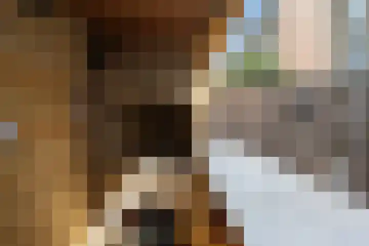 A. Noordewier-Reddingiuslaan 139 Rotterdam thumbnail 29