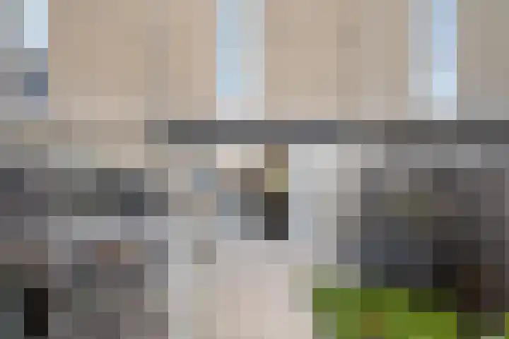A. Noordewier-Reddingiuslaan 139 Rotterdam thumbnail 30