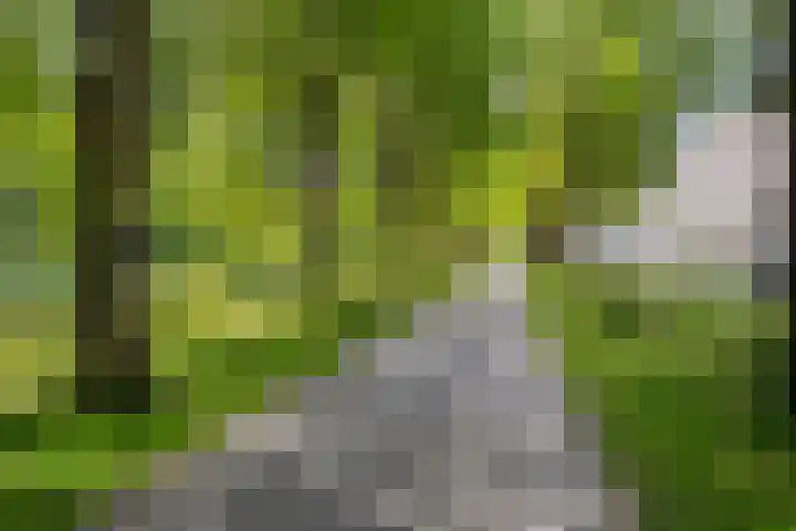 A. Noordewier-Reddingiuslaan 139 Rotterdam thumbnail 31