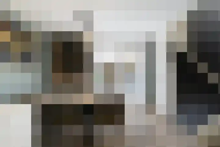 A. Noordewier-Reddingiuslaan 139 Rotterdam thumbnail 6