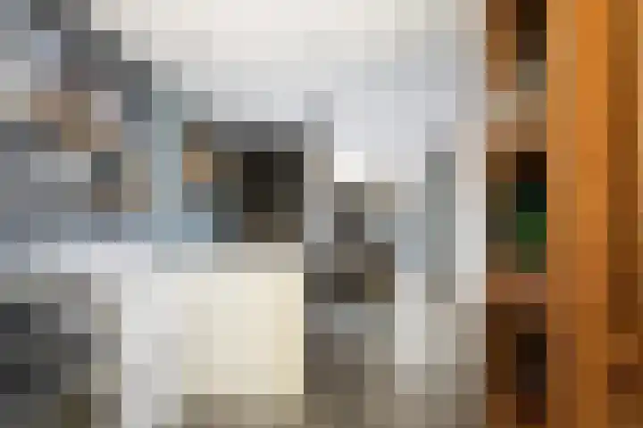 A. Noordewier-Reddingiuslaan 139 Rotterdam thumbnail 8