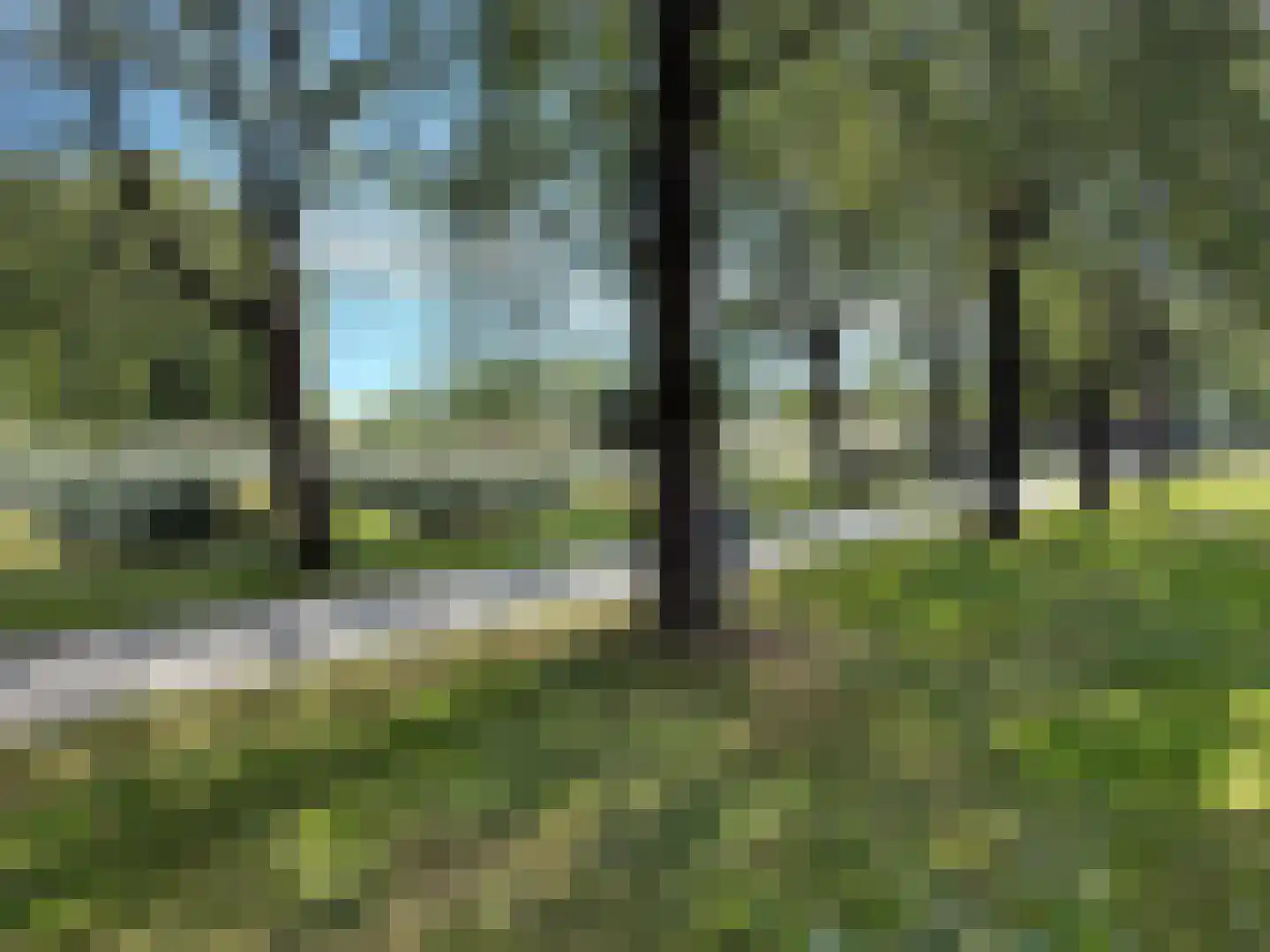 A. Noordewier-Reddingiuslaan 193 Rotterdam thumbnail 30