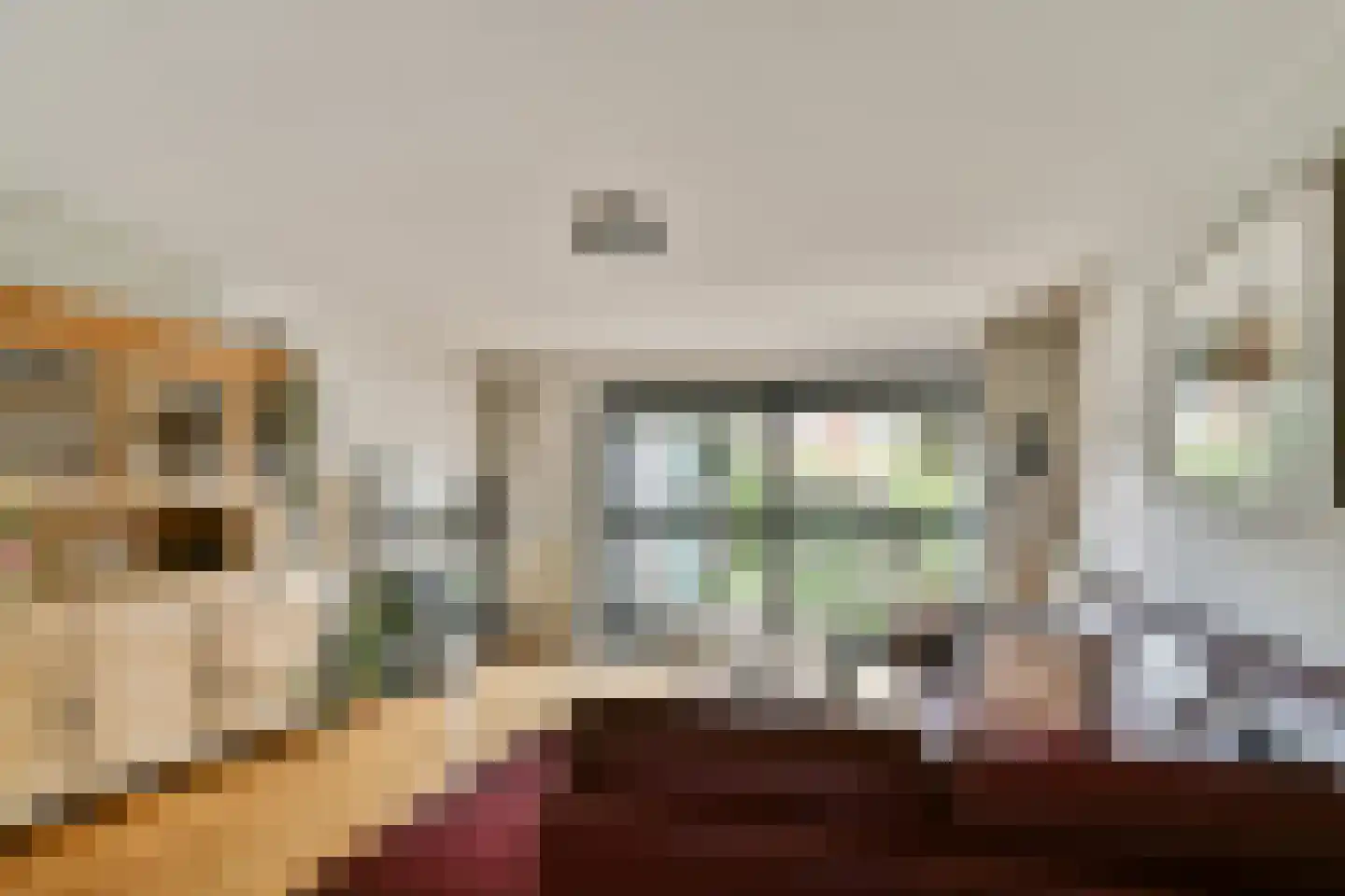 A. Noordewier-Reddingiuslaan 207 Rotterdam thumbnail 10