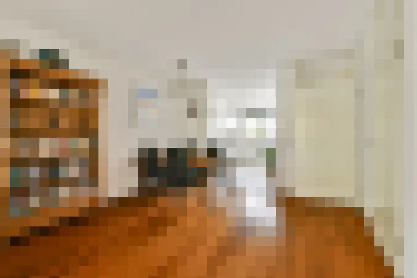 A. Noordewier-Reddingiuslaan 207 Rotterdam thumbnail 15