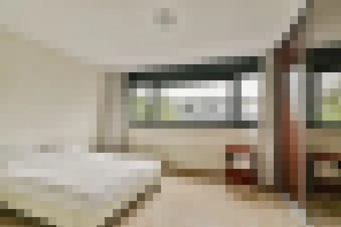 A. Noordewier-Reddingiuslaan 207 Rotterdam thumbnail 19