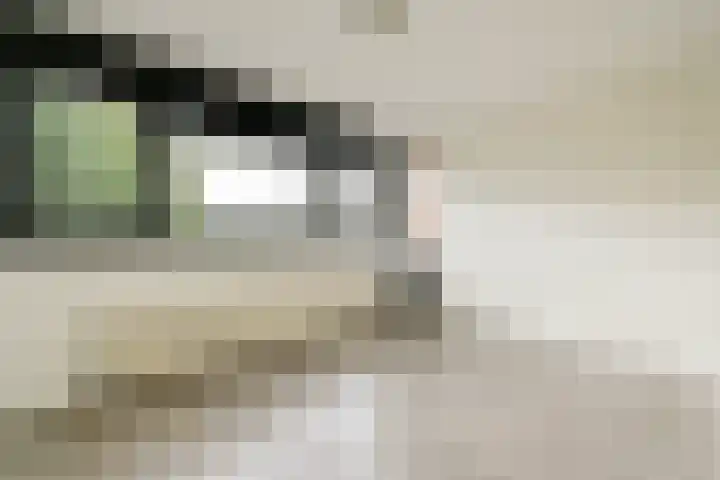 A. Noordewier-Reddingiuslaan 225 Rotterdam thumbnail 12