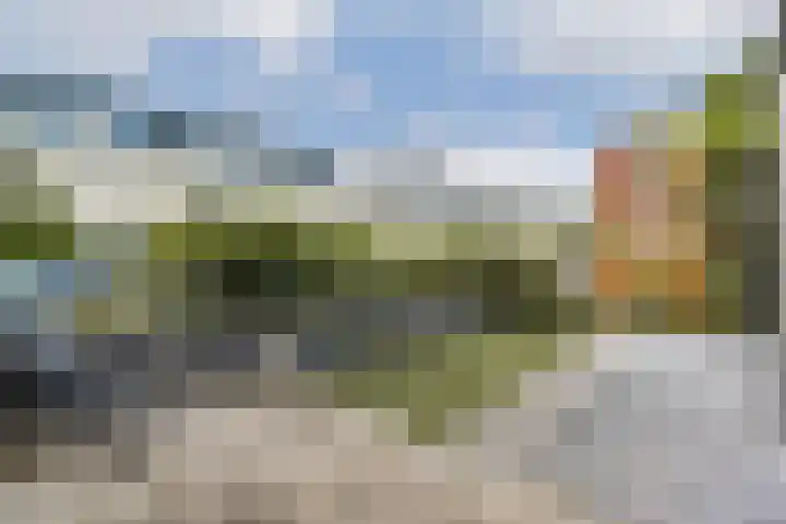 A. Noordewier-Reddingiuslaan 225 Rotterdam thumbnail 5