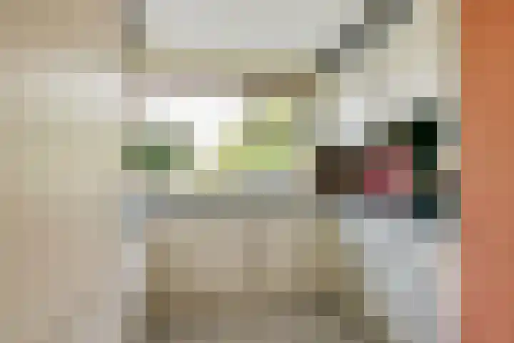 A. Noordewier-Reddingiuslaan 27 Rotterdam thumbnail 10