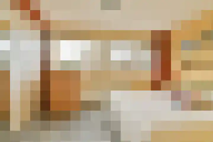 A. Noordewier-Reddingiuslaan 27 Rotterdam thumbnail 15