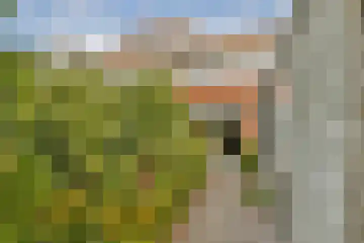 A. Noordewier-Reddingiuslaan 27 Rotterdam thumbnail 25