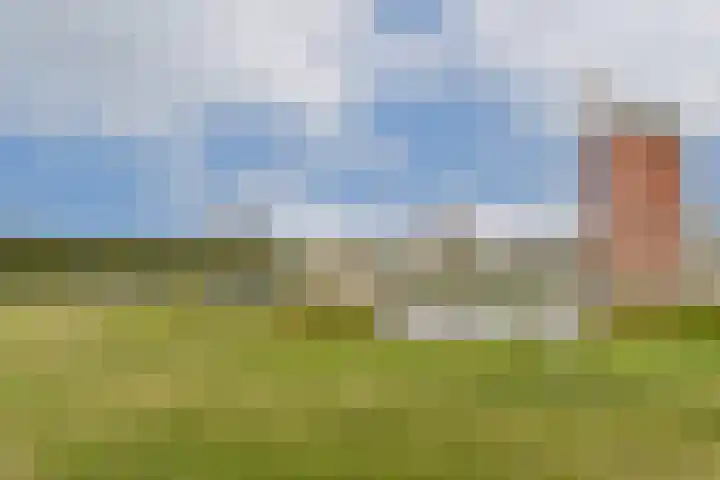 A. Noordewier-Reddingiuslaan 27 Rotterdam thumbnail 31