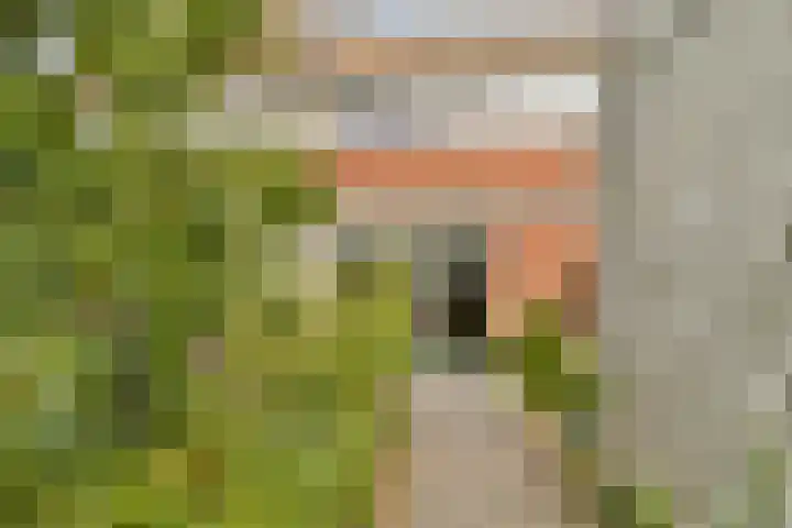 A. Noordewier-Reddingiuslaan 27 Rotterdam thumbnail 4