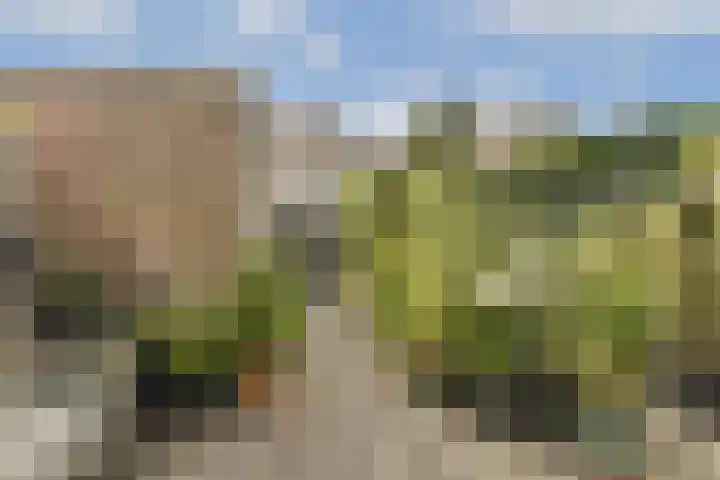 A. Noordewier-Reddingiuslaan 27 Rotterdam thumbnail 5
