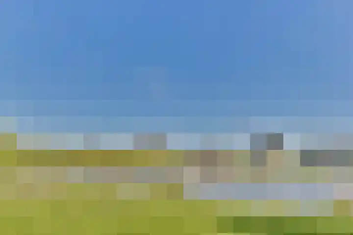A. Noordewier-Reddingiuslaan 3 Rotterdam thumbnail 10