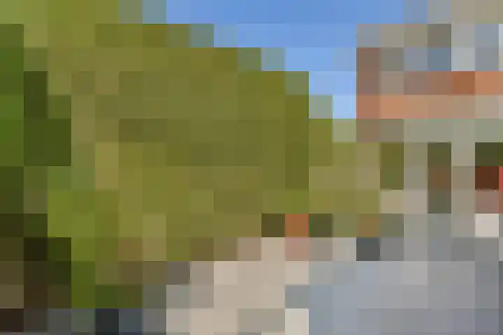 A. Noordewier-Reddingiuslaan 3 Rotterdam thumbnail 14