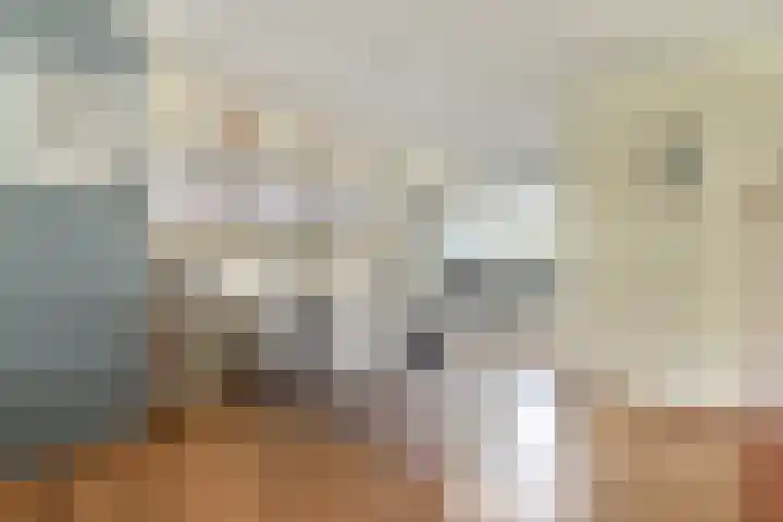 A. Noordewier-Reddingiuslaan 3 Rotterdam thumbnail 20