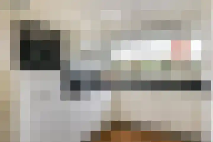 A. Noordewier-Reddingiuslaan 3 Rotterdam thumbnail 21