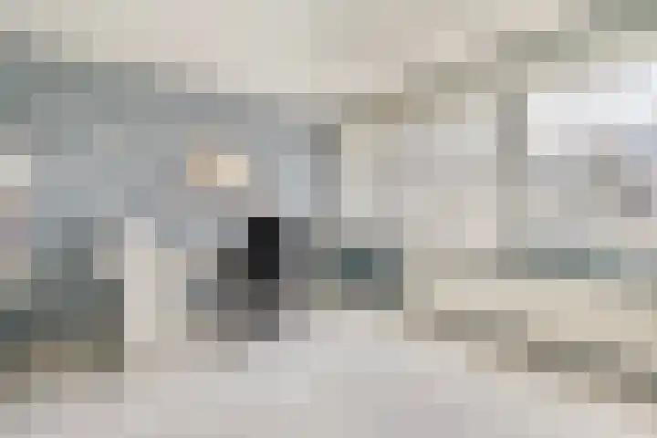 A. Noordewier-Reddingiuslaan 3 Rotterdam thumbnail 28